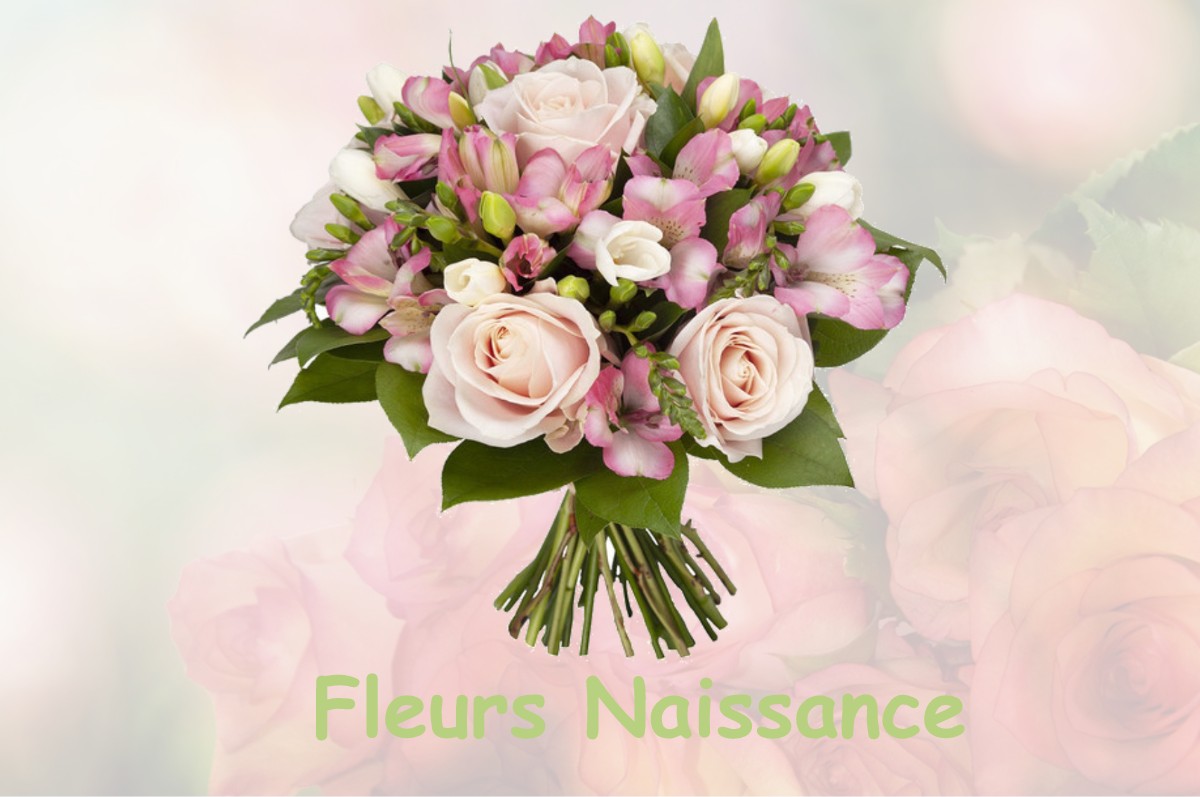 fleurs naissance AUDIGNON