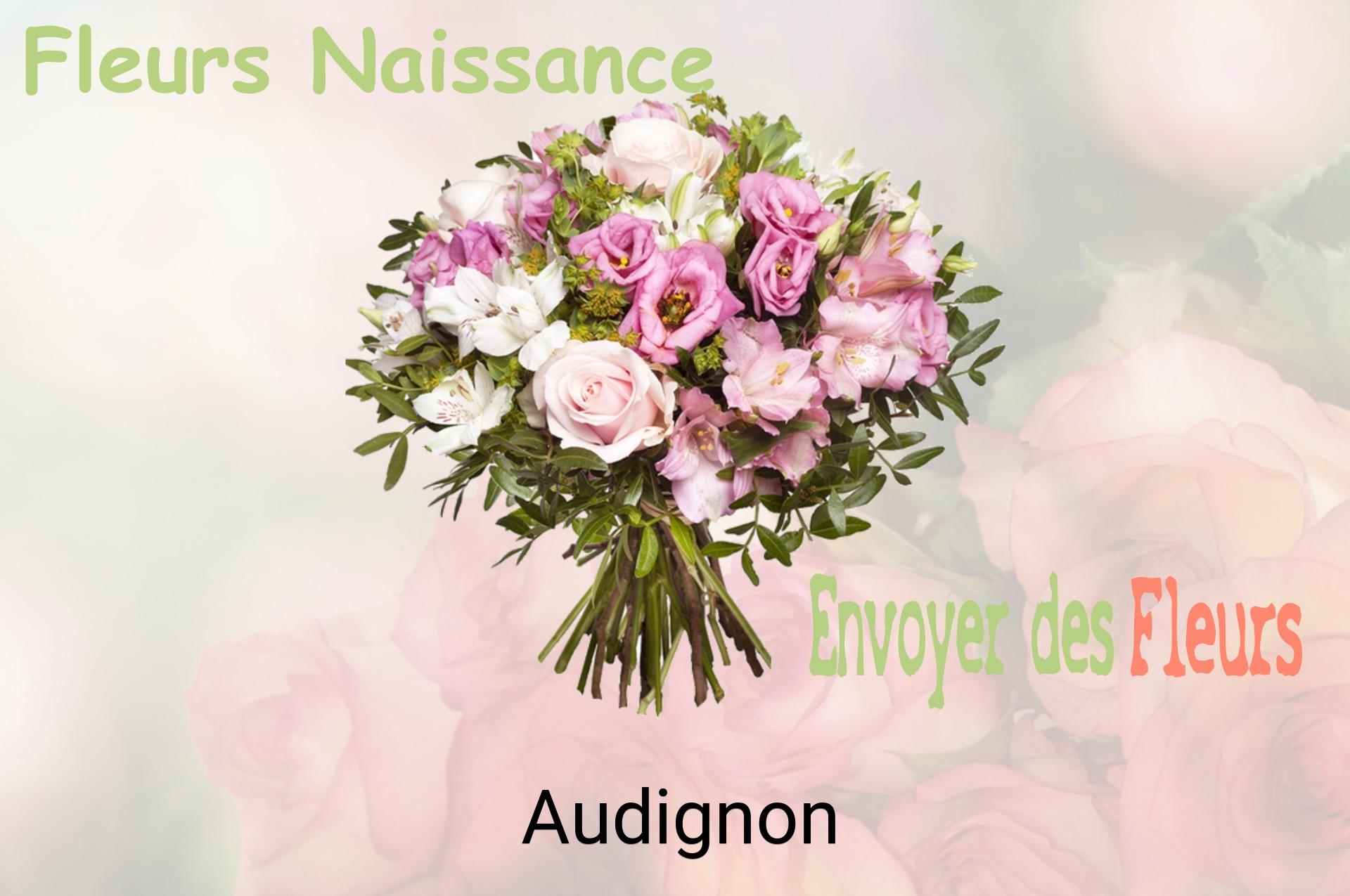 Bouquet de fleurs de naissance livré à Audignon