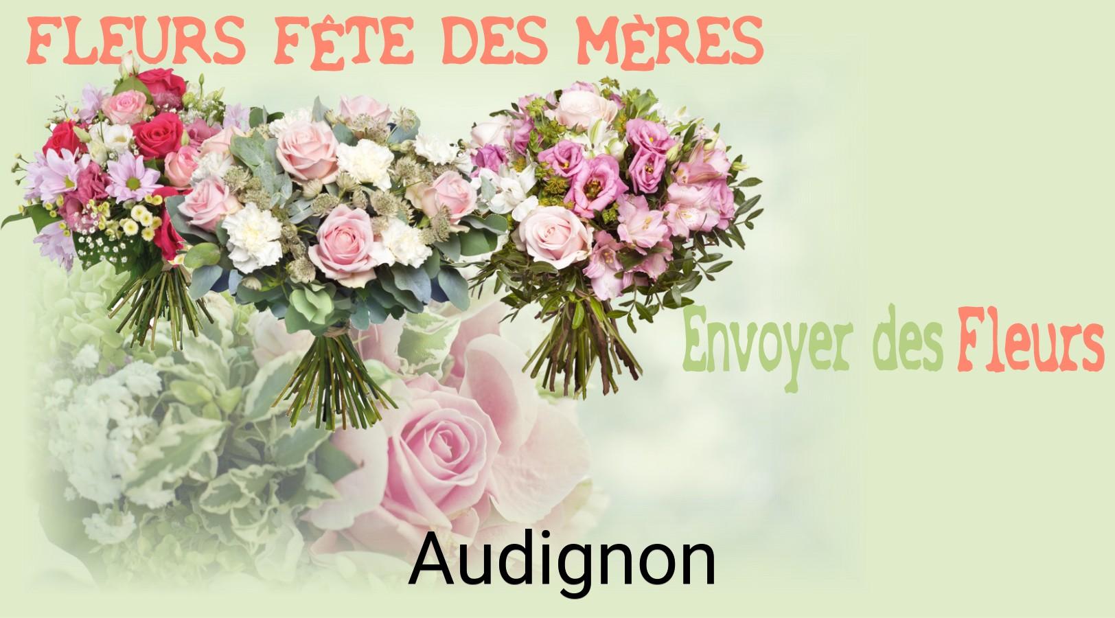 Bouquet de Fête des Mères livré à Audignon