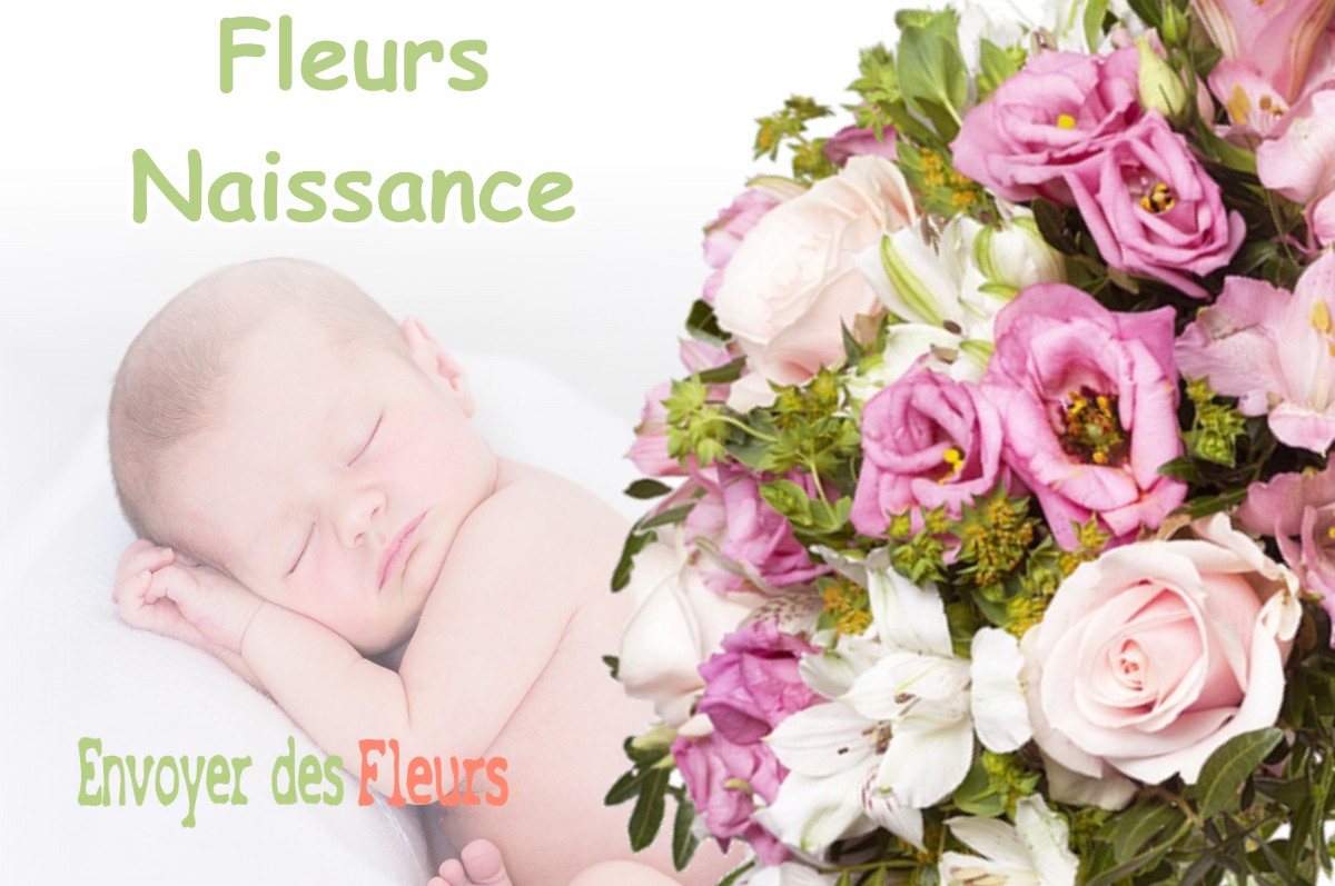 lIVRAISON FLEURS NAISSANCE à AUDIGNON